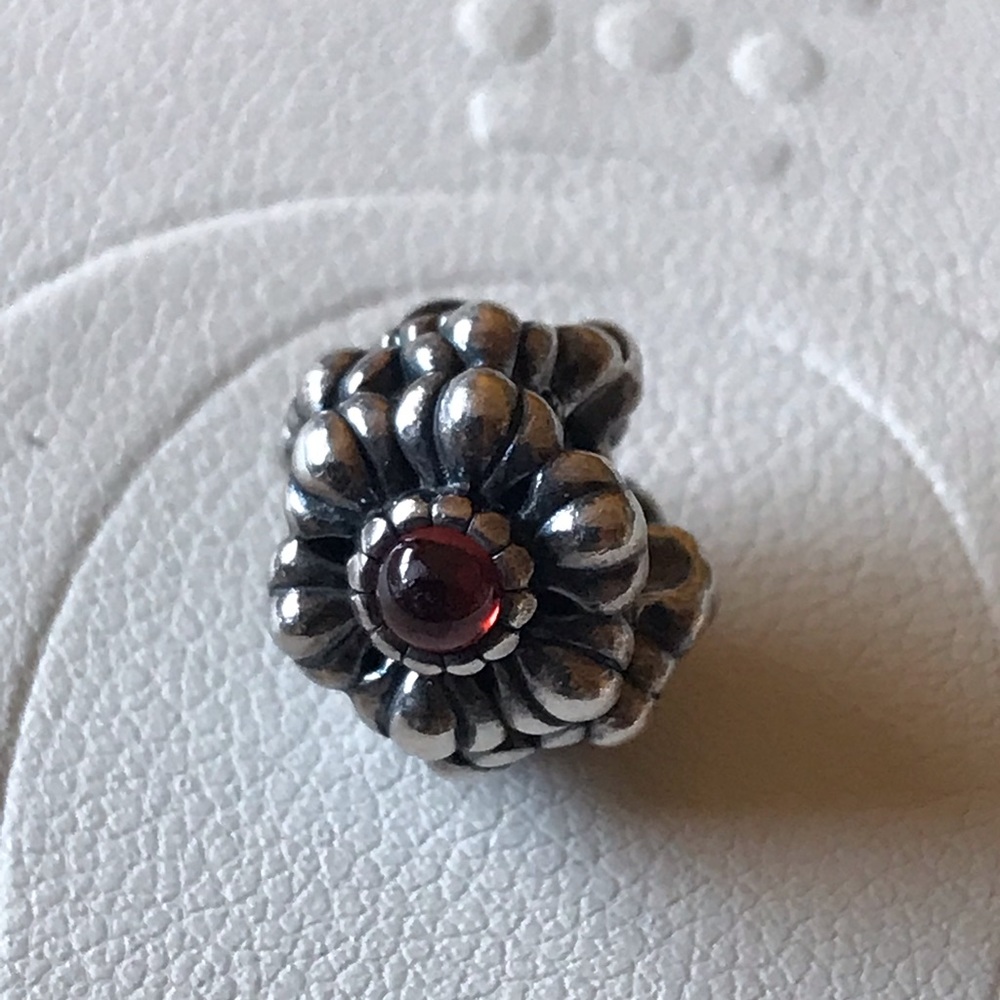 Pant charm